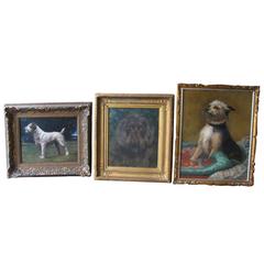 Antique Three Oil Paintings of Three Dogs by Three Different Painters, circa 1910