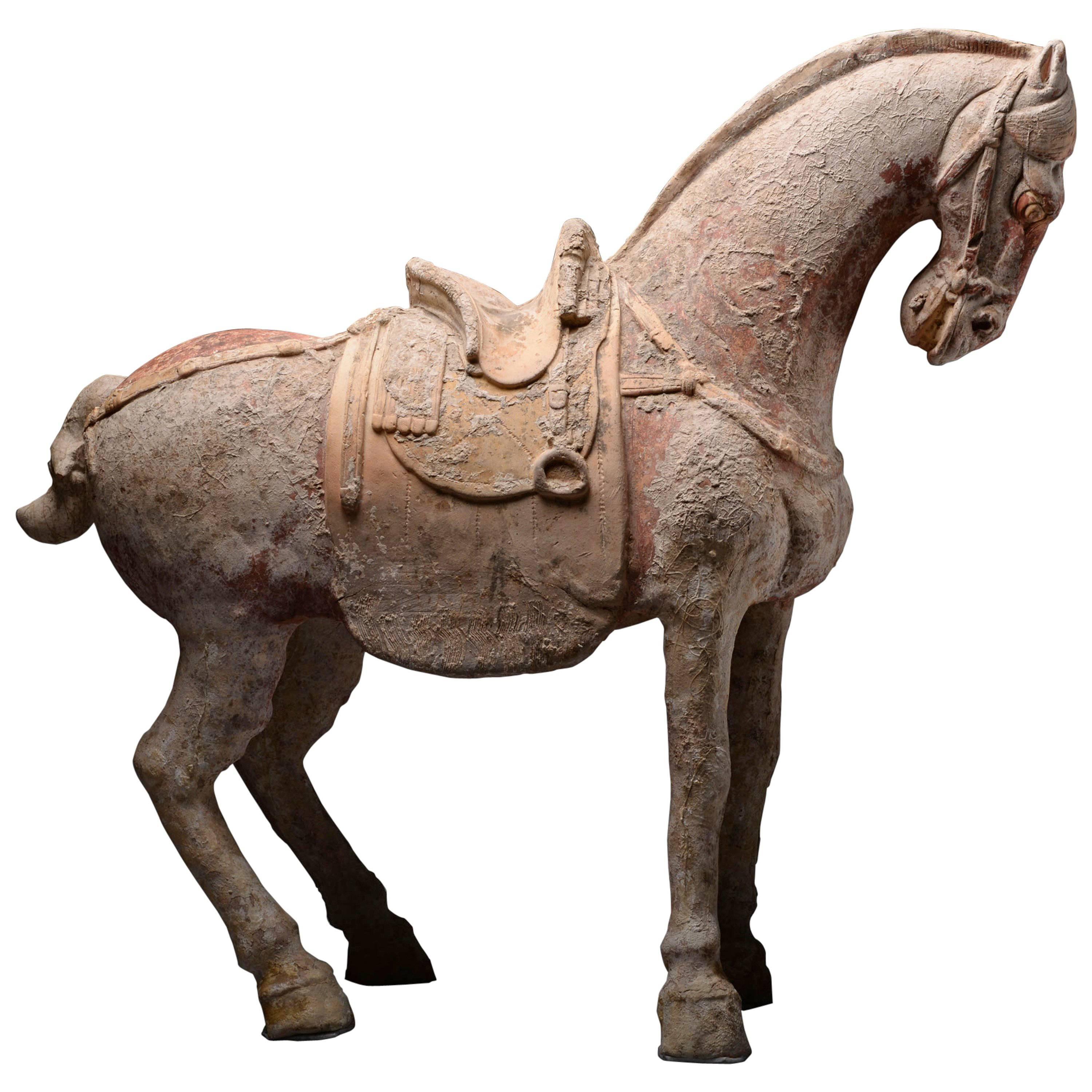 Large Ancient Chinese Terracotta Sui Dynasty Horse Sculpture - 600 AD