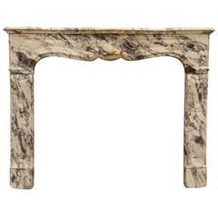 Louis 15 Style Breccia Violet Marble Fireplace, 19th Century