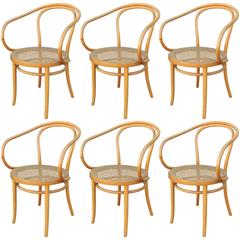 Sechser-Set Thonet 209 Bugholz und Rohrgeflecht Esszimmerstühle