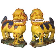 PAIR Monumental Chinese Buddhist Lionesses 3