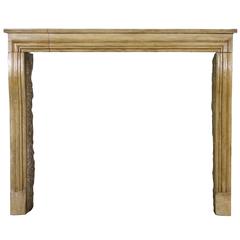 19 th Century LXIV style antique fireplace mantel in Burgundy hard stone. 5