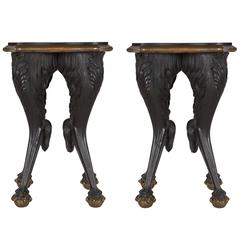 Pair of Ebonised and Bronze Stands
