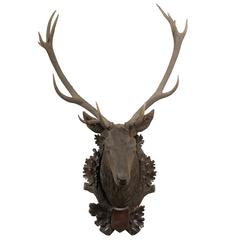 Large Black Forest Stag Head, circa 19th c