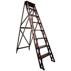 19th Century French Library Ladder