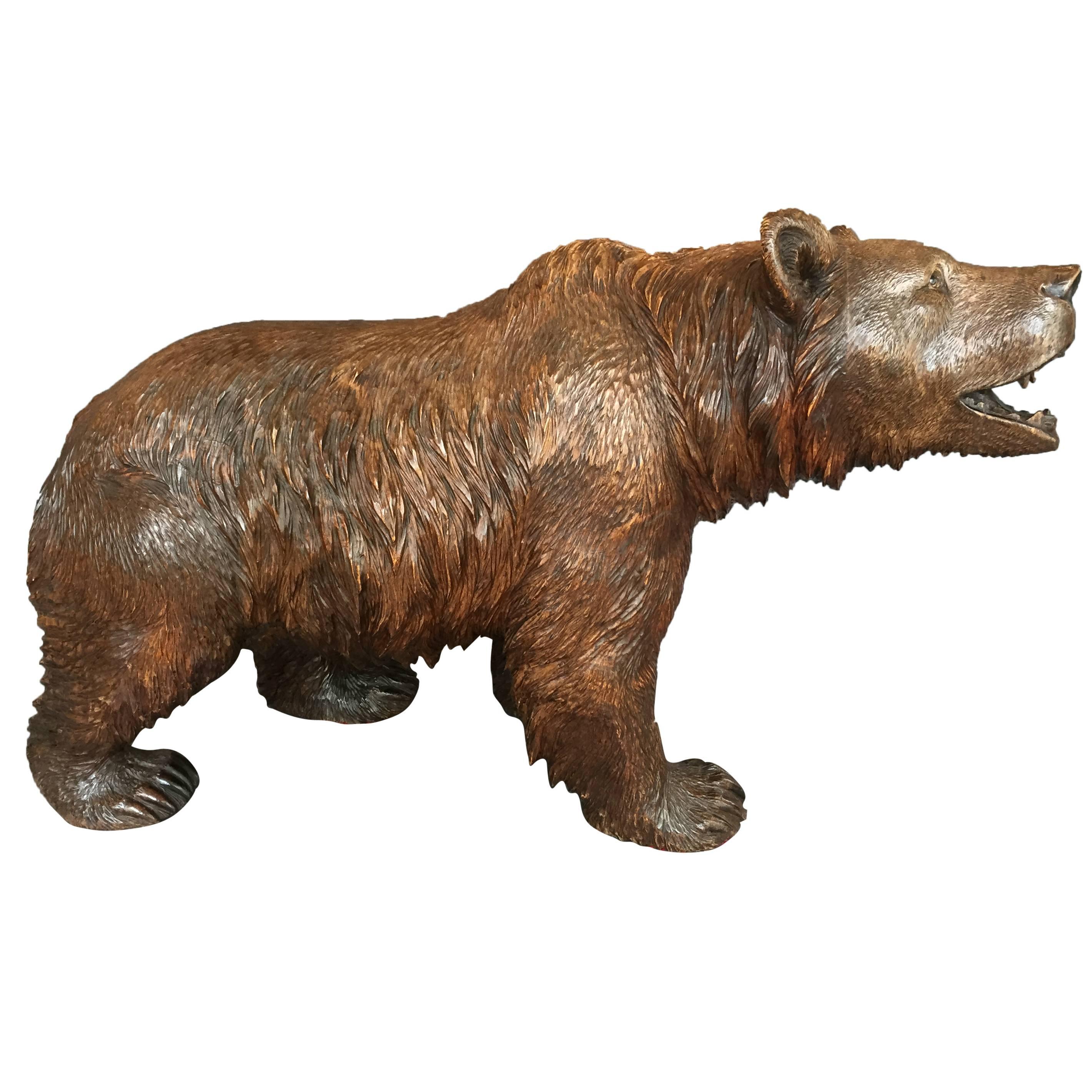 Late 19th Century Swiss Black Forest Strolling Bear Carving