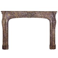 19th Century Brocatelle Marble Antique Fireplace Mantel, Regency Style 2
