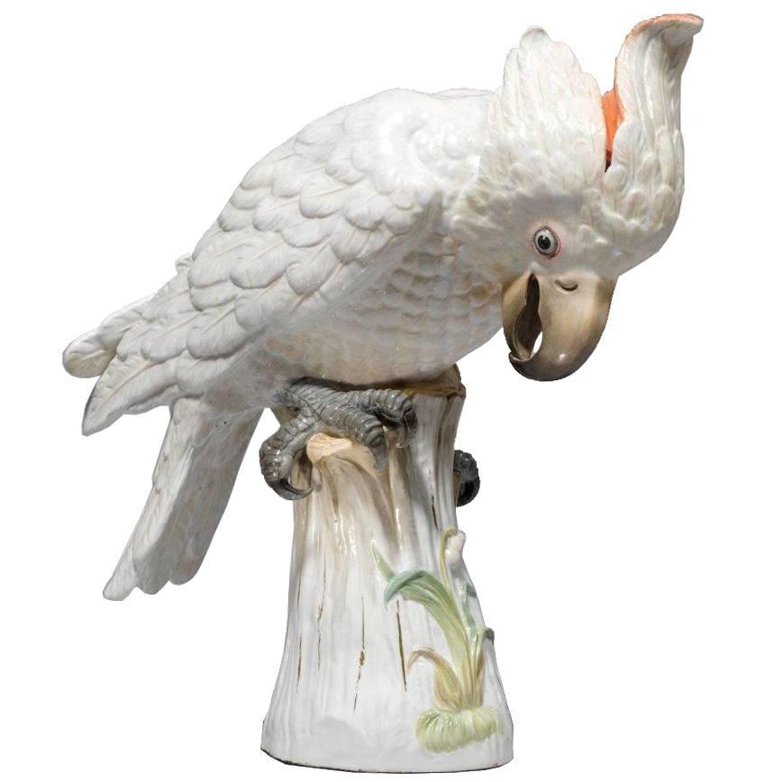 Large Meissen Porcelain Model of a Cockatoo
