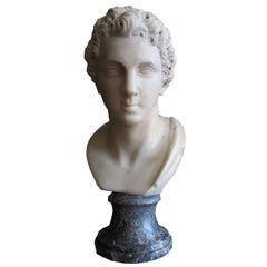 Antique Carrara's Marble Male Bust 