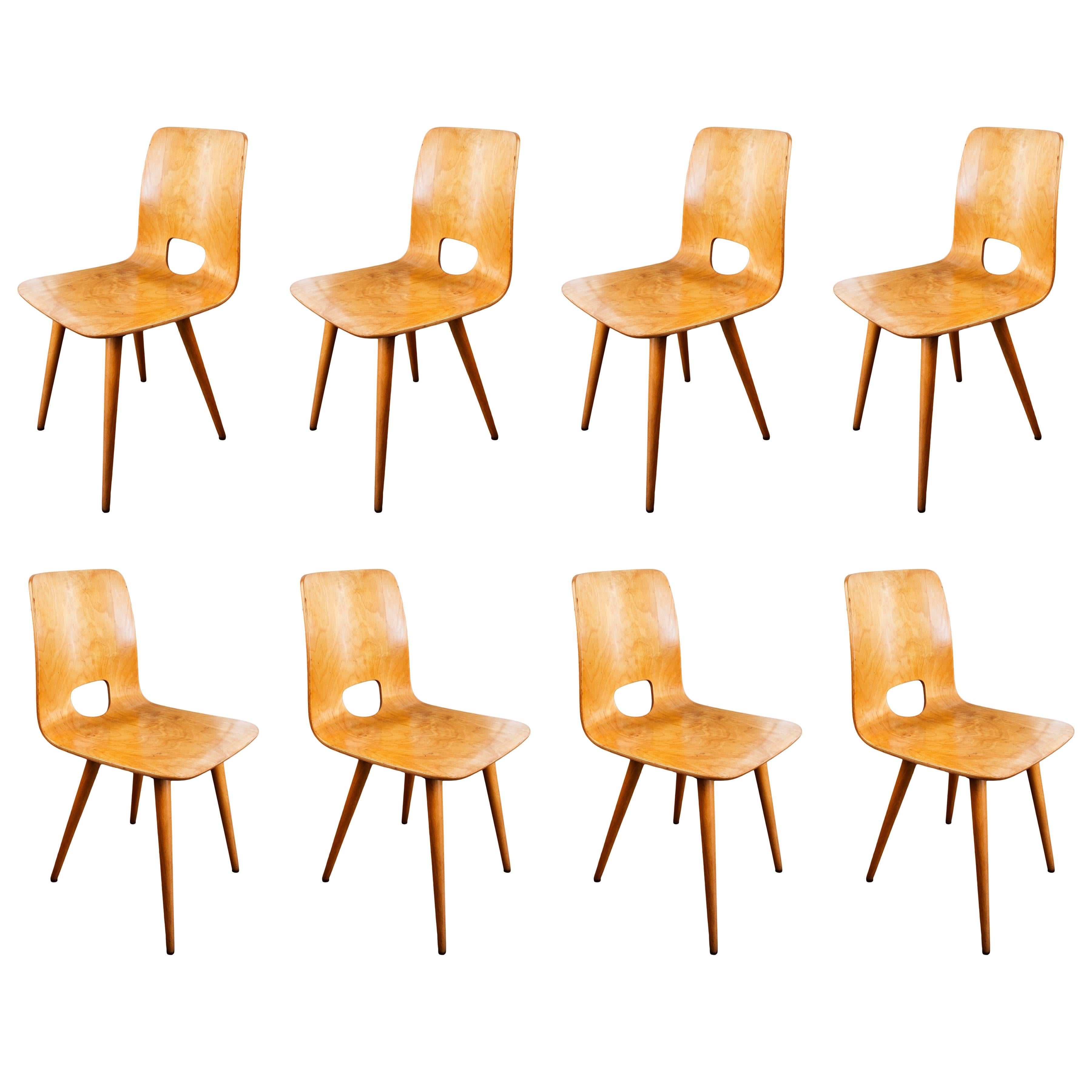 Hans Bellmann 1.950s Maple Chairs  Produced by Horgen-Glarus Wood Furniture  For Sale