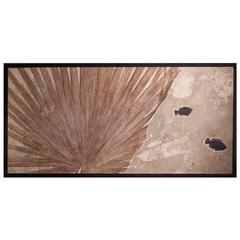  Fossil Fish and Palm wall plate