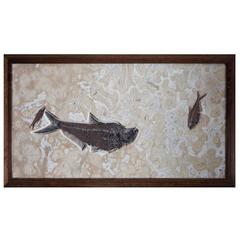Fossil Fish wall plate