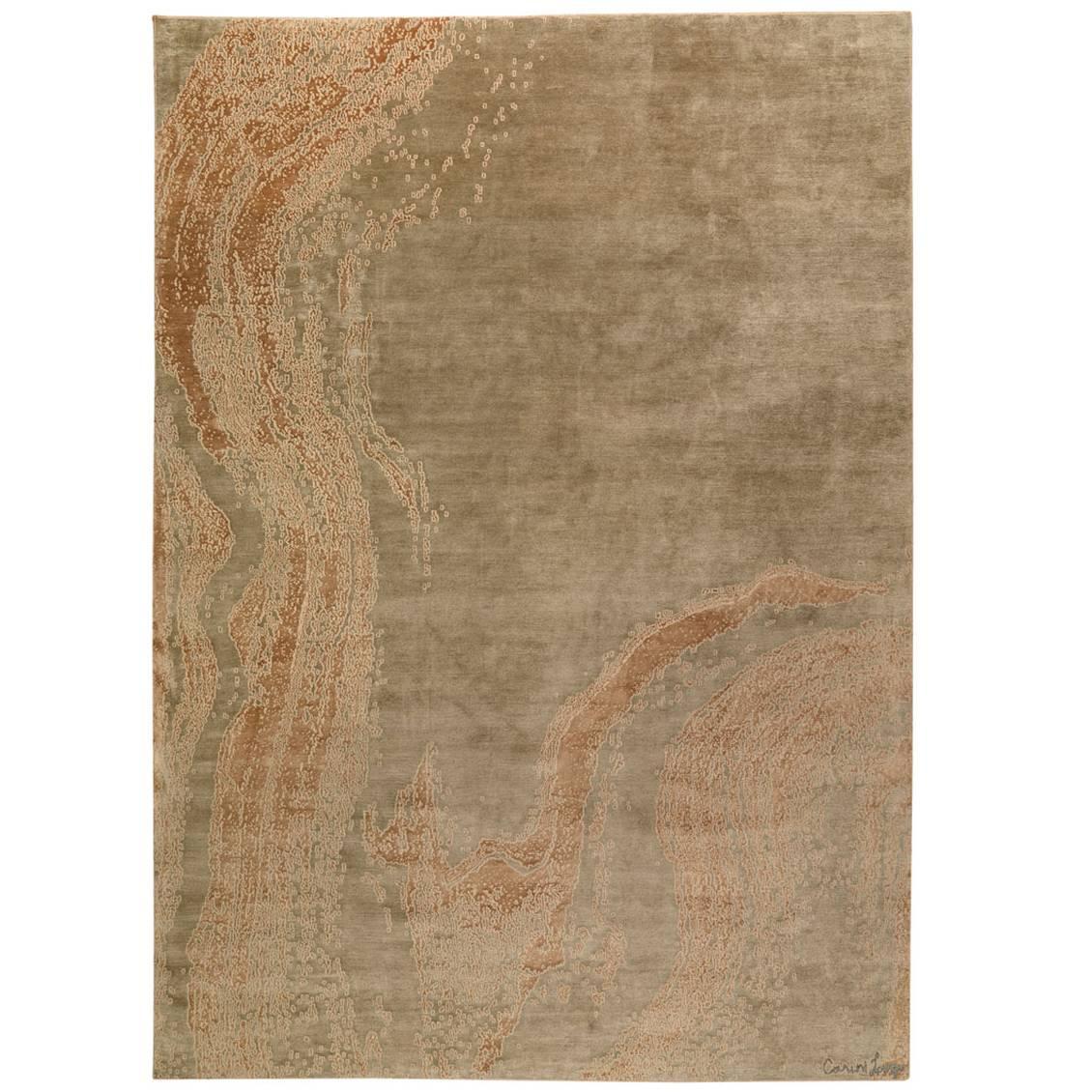 Contemporary Abstract Area Rug in Silk 10x14