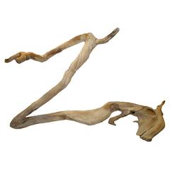 Organic Teak Wood 'Horse' Sculpture 4
