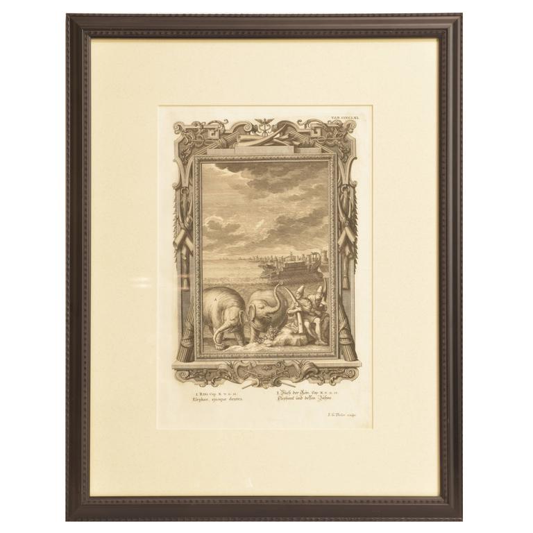 Copper Plate Engraving of a Pair of Elephants and Nautical Scene For