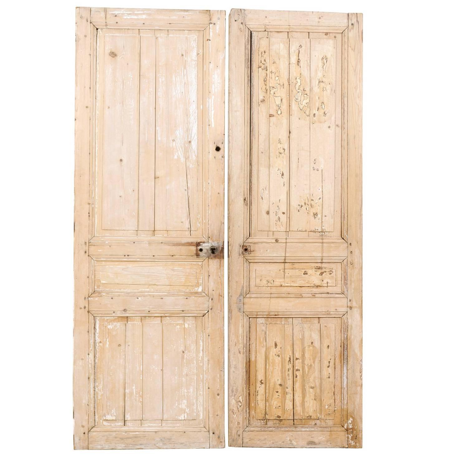 Pair of French 19th Century Wooden Doors