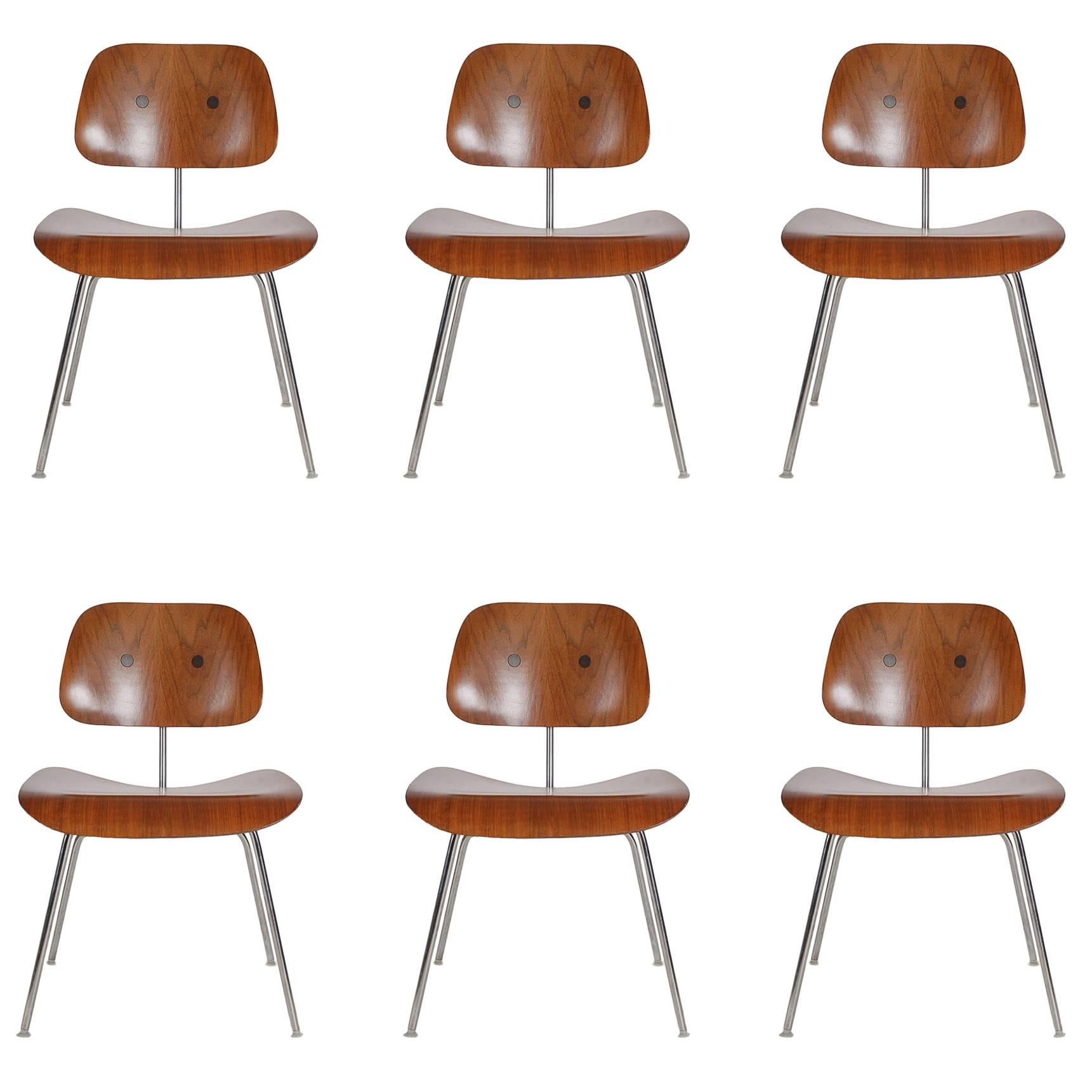 Set of Six Charles Eames for Herman Miller DCM Plywood Dining Chairs