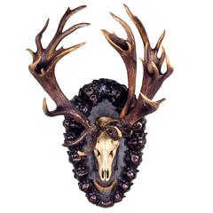 Antique The Emperor's 19th C. 3 Beam Red Stag Trophy from Eckartsau Castle, Austria