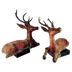 Large Antique Hand-Carved Temple & Folkart Deer, 19th Century