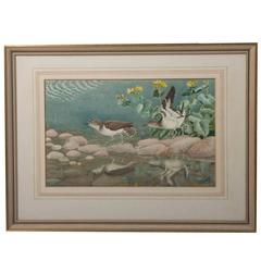 Vintage Tunnicliffe water colour painting “Common Sandpipers on Rocks”, England 1974