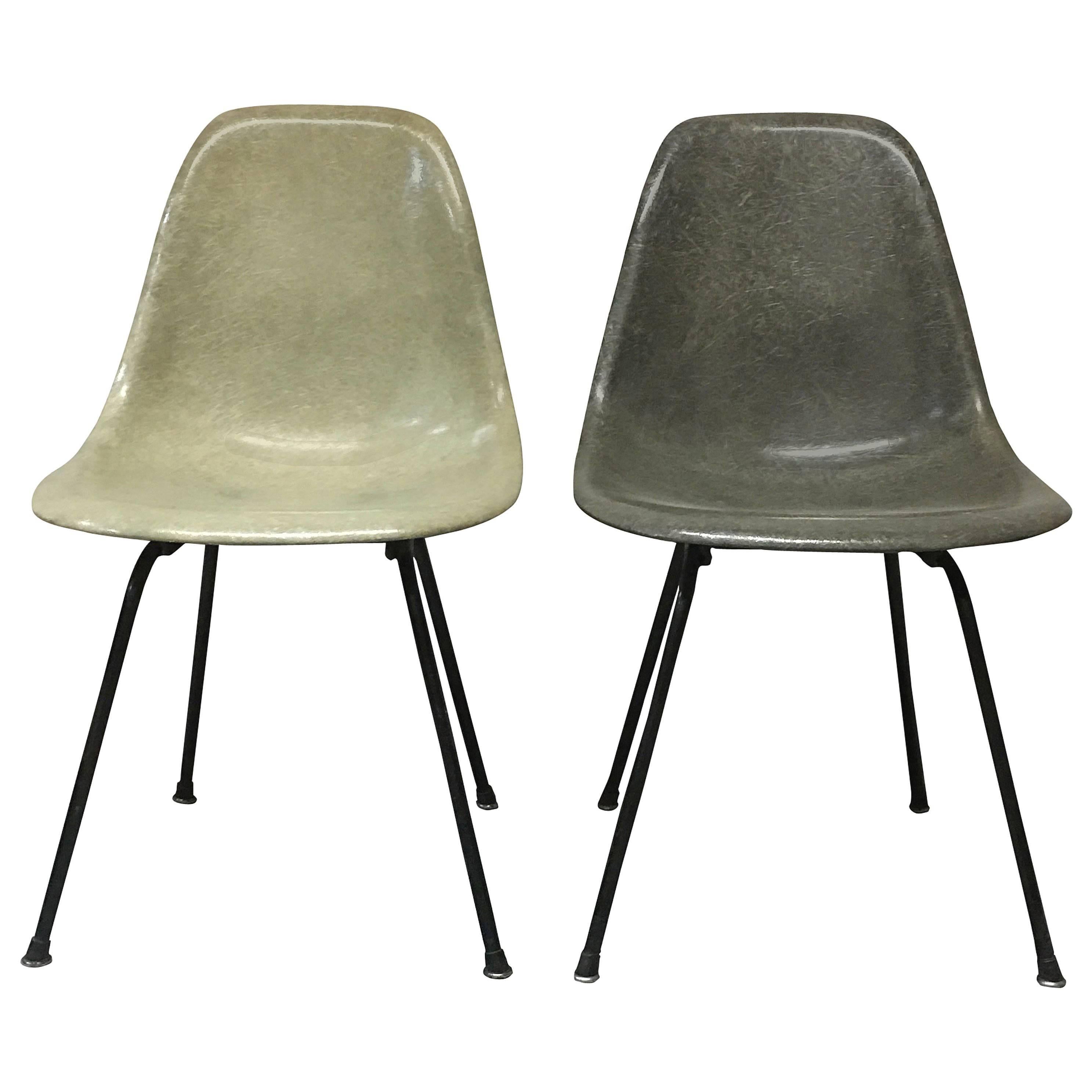 Early Zenith Plastics Eames Shells in Seafoam Green and Elephant Grey