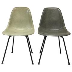 Used Early Zenith Plastics Eames Shells in Seafoam Green and Elephant Grey