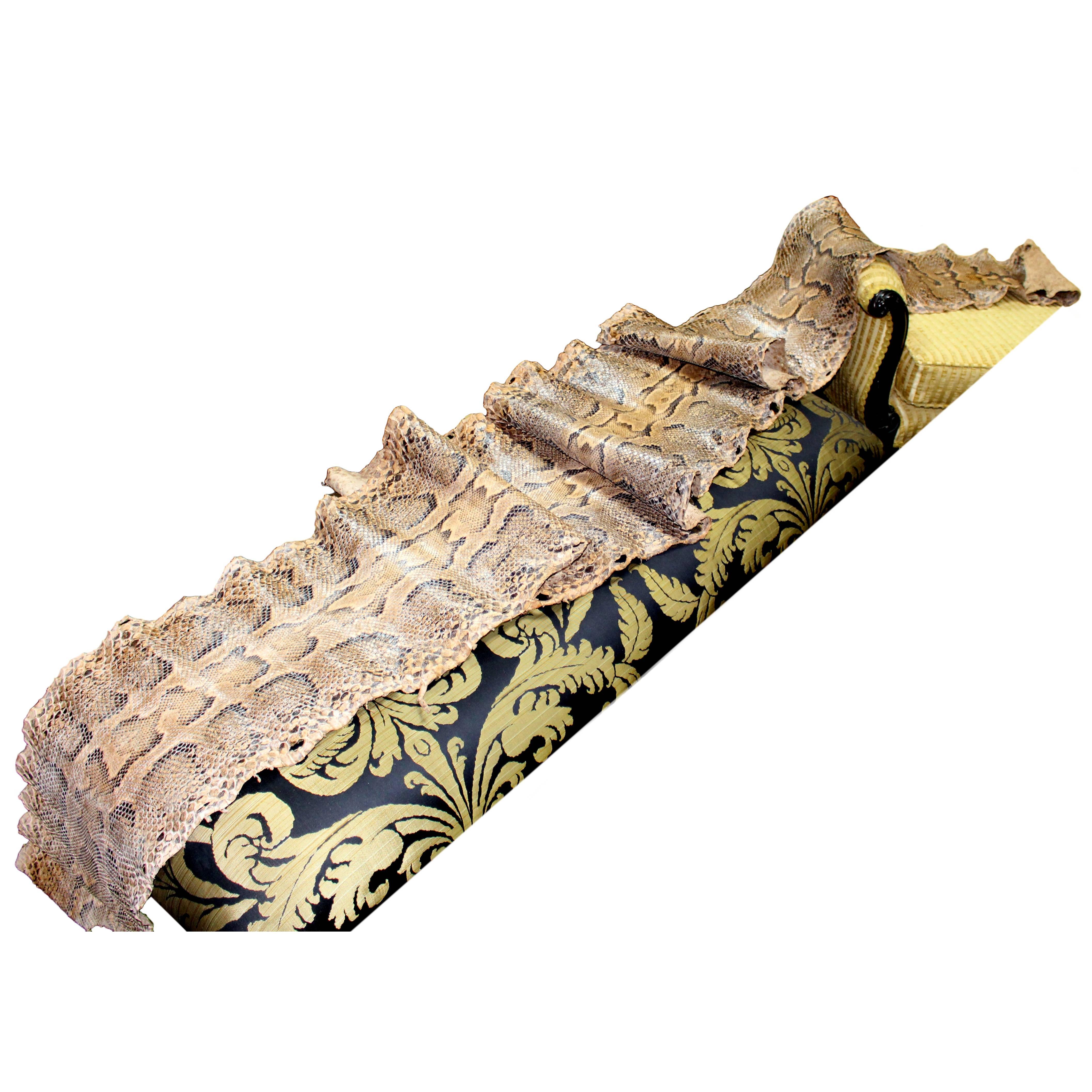 Antique Python Snake Skin