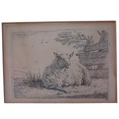 Karel Dujardin Etching of Recumbent Sheep, 1655