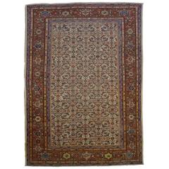 Antique Persian Ziegler Mahal Late 19th Century Oriental Rug