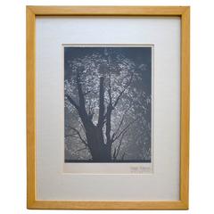 Signed Konrad Cramer Silver Gelatin Print