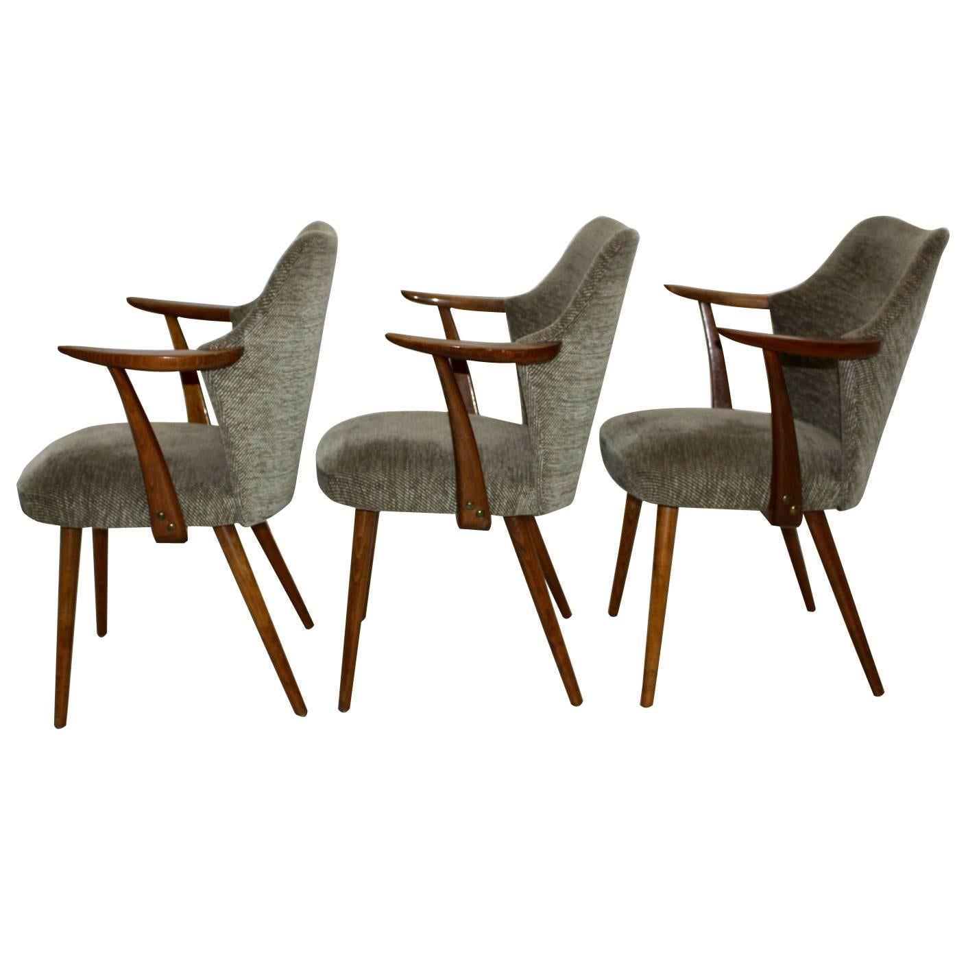 Moderner Sessel aus Buchenholz, Mid-Century Modern, Oswald Haerdtl zugeschrieben 1950er Jahre im Angebot