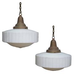 Large Ridged Opalines