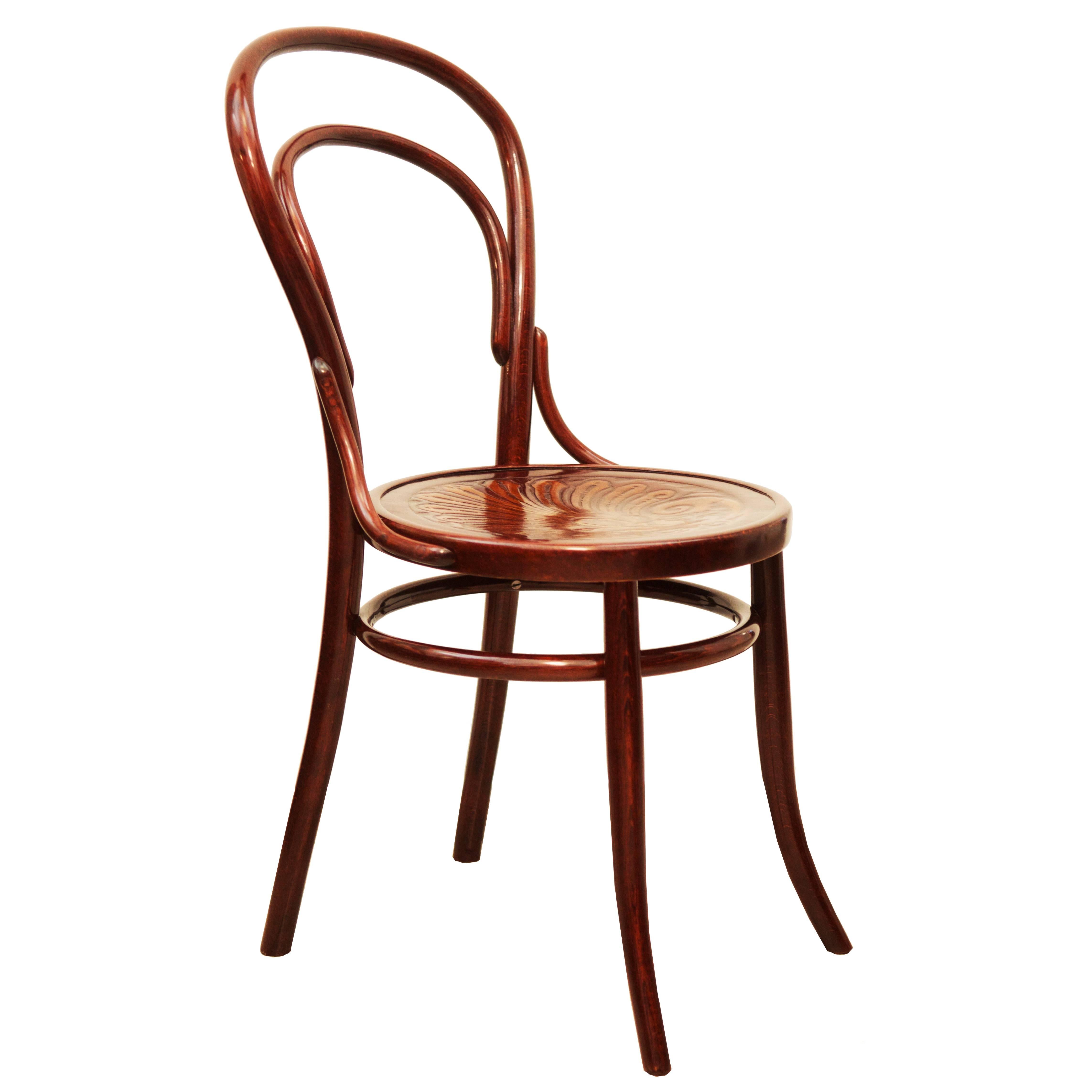 Stühle aus Bugholz, Thonet zugeschrieben