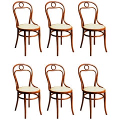 Thonet No. 31 Chairs
