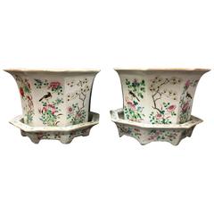 Pair 19th Century Chinese Jardinieres