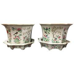 Pair 19th Century Chinese Jardinieres 