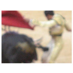 Bullfight Photograph No. 4 by Michael Stuetz