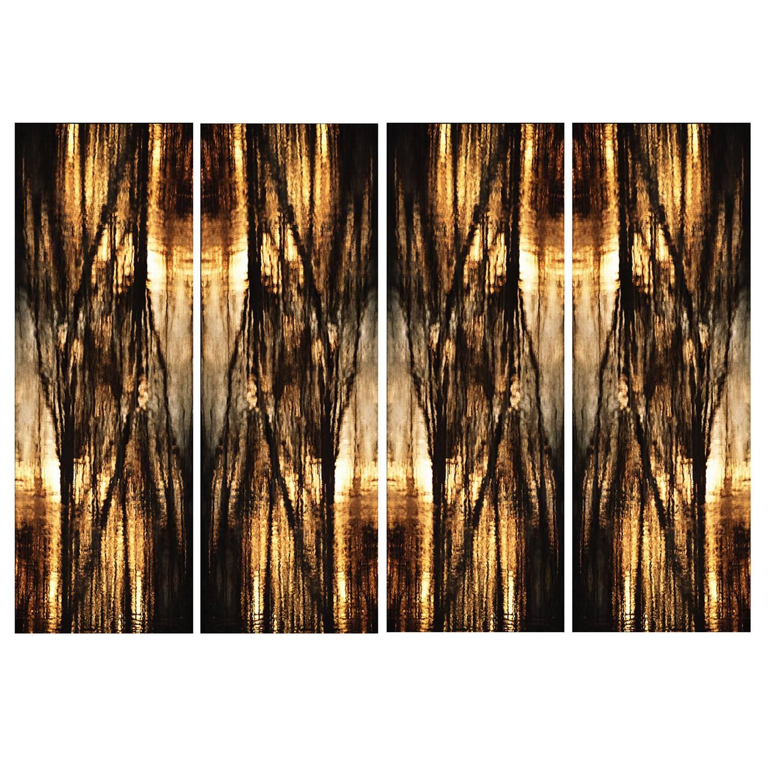Monumental Photograph Titled 'Autumn Sonata' by Olivier Dassault