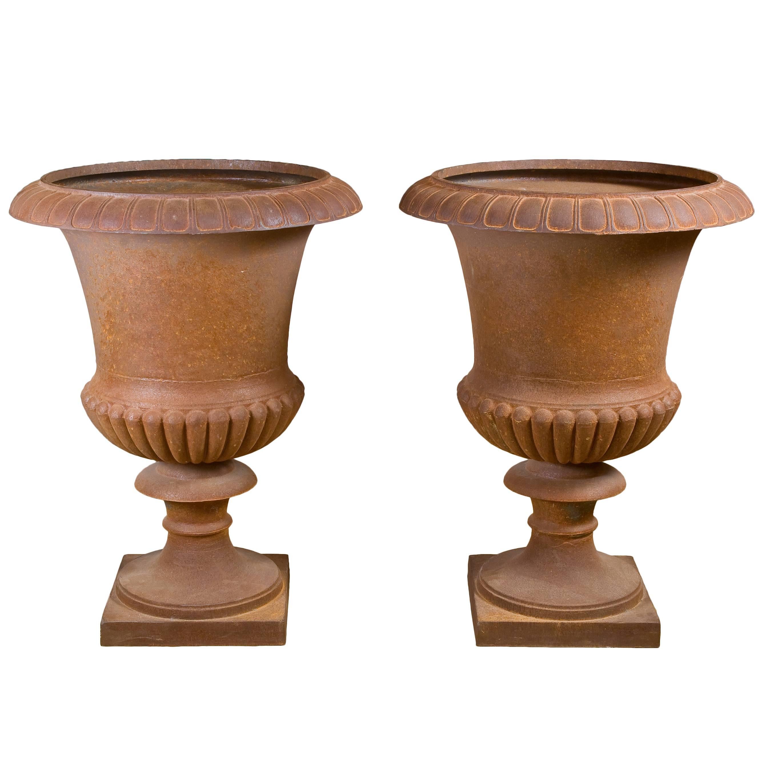 Spectacular Pair of Iron Medicis Garden Vases, 19th Century For Sale