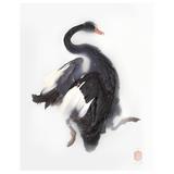 Art Print Titled 'Unknown Pose by Black Swan' by Sinke & van Tongeren