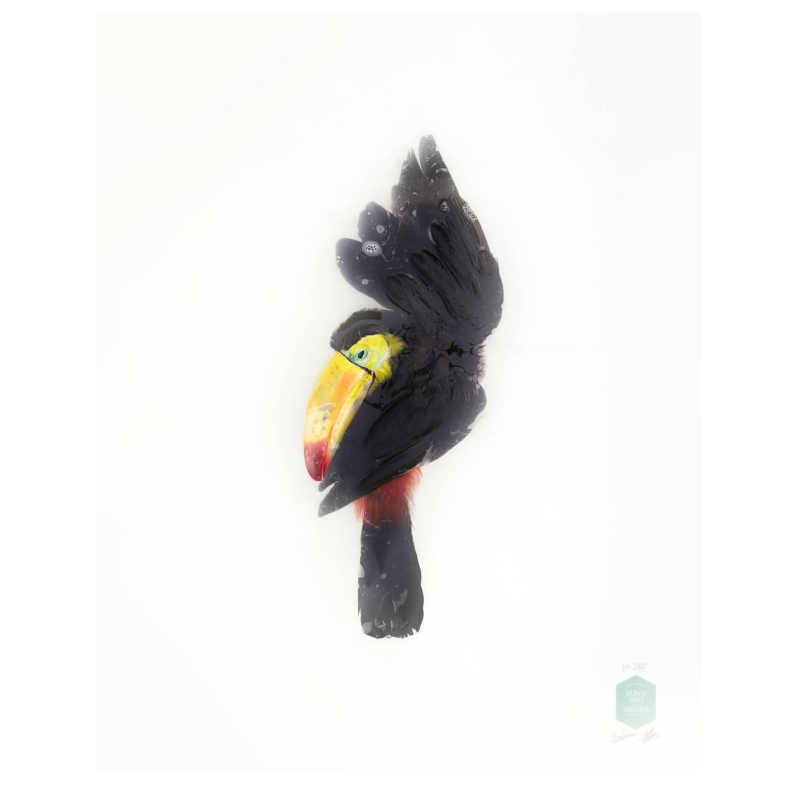 Kunstdruck mit dem Titel „“Unbekannte Pose“ von Toucan von Sinke & Van Tongeren