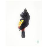 Titre de l'impression d'art « Unknown Pose » (Pose inconnu) de Toucan par Sinke & Van Tongeren