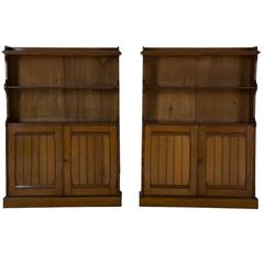 Pair of Gothic Dwarf Bookcases
