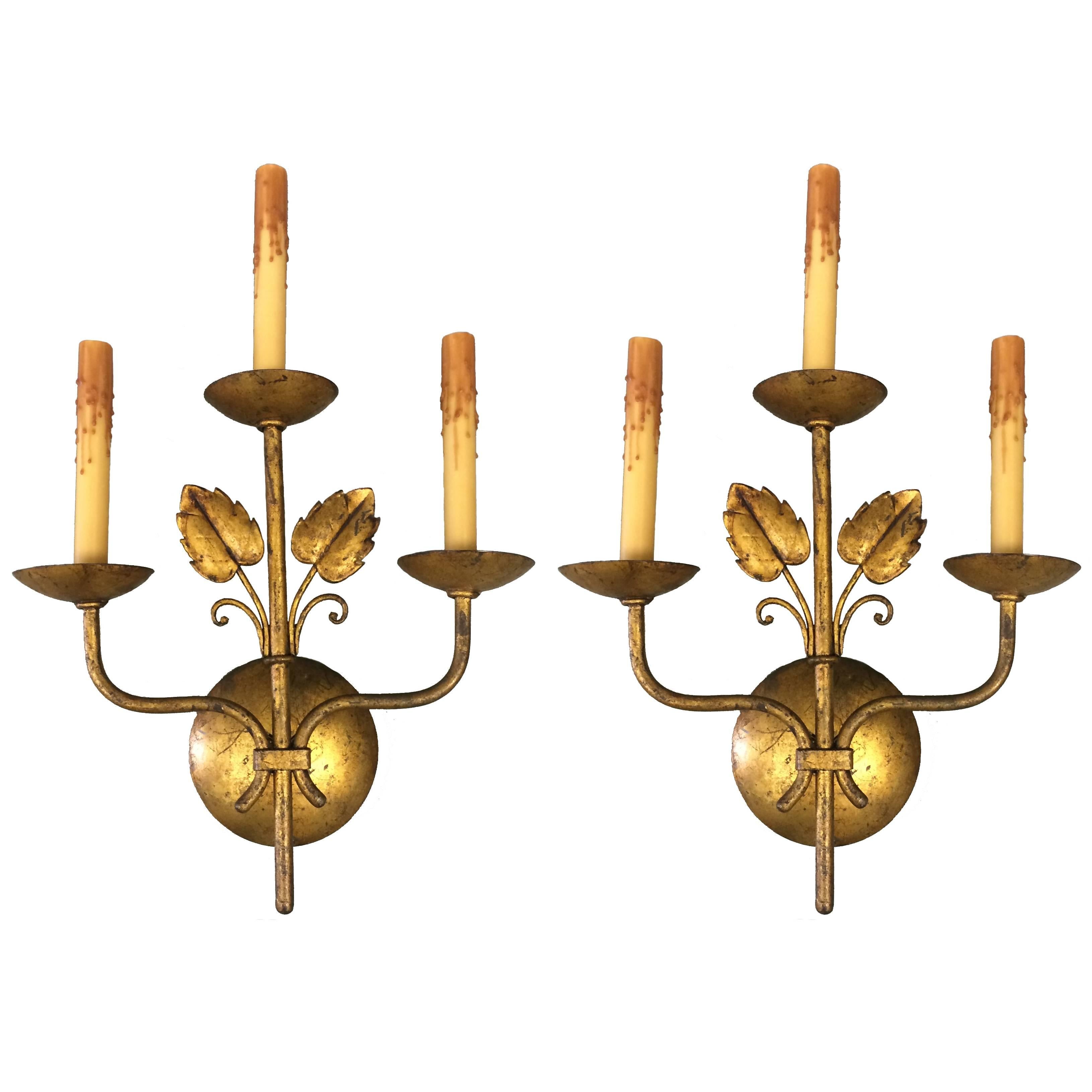 Mid-Century French Gilt Leaf Wall Sconces, Pair
