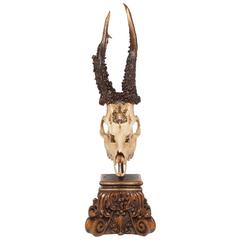 19th Century Roe Deer Trophy from King of Württemberg, Germany