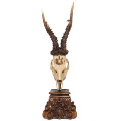 19th Century Roe Deer Trophy from King of Württemberg, Germany