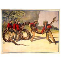 Original Antique 1900s Fairground Poster "Five Men Holding Down a Large Snake"