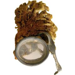 "Sponge Bobbin" Mask 8