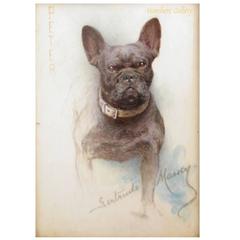 Antique French Bulldog "Peter" by Gertrude Massey