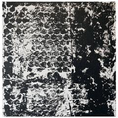 Sheila White 12